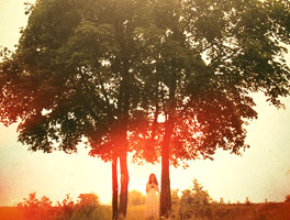 小黑ddos压力测试平台