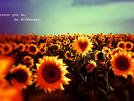 安全防护的如何攻击网站